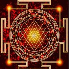 51DBI7riwmL._AC_UF894,1000_QL80_ (2)